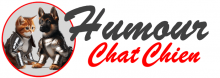 Humour Chat Chien